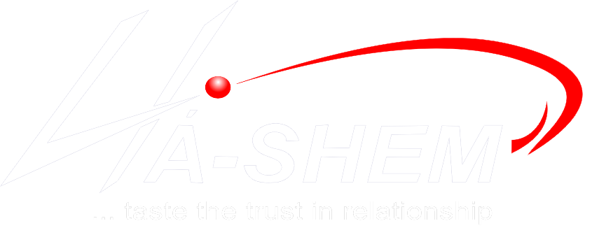 Ha-Shem Logo - Tech Expo Africa